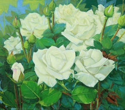 흰장미-KTC 09004-13