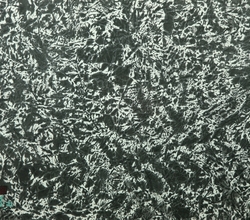 생+삶 그리고 꿈과 사랑