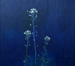 씁쓸하고 높고 푸르른 