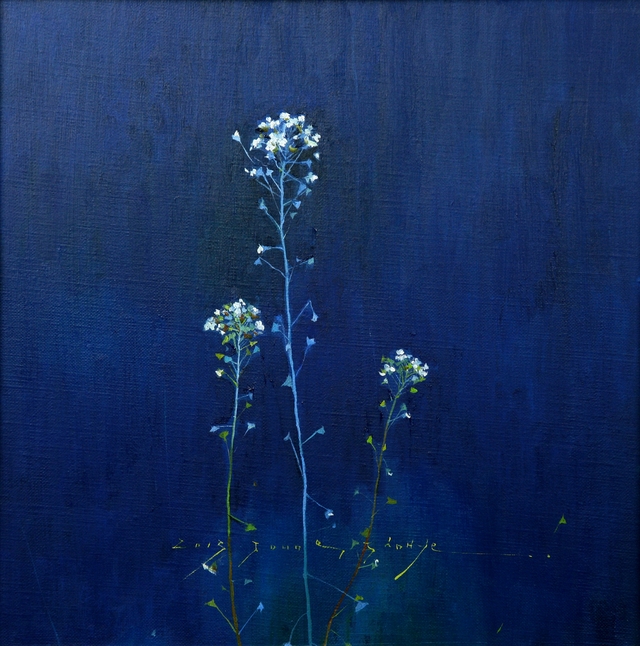 씁쓸하고 높고 푸르른 