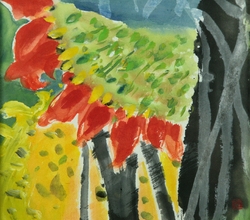 sun flower 해바라기 