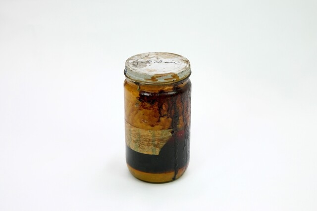 사용자 이미지 109 안료.jpg