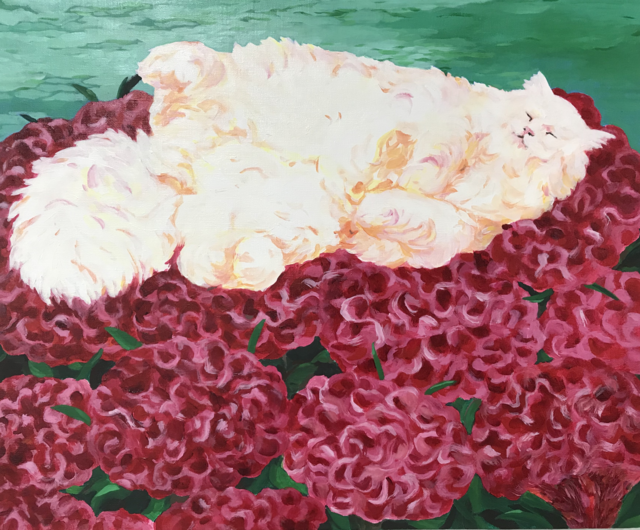 아브릴은 어떻게 맨드라미 위에 올라갔나?