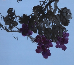 菓龍弄珠(과룡농주1)