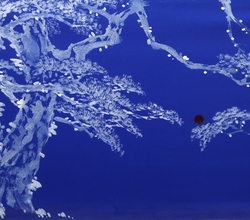 不老長春(불로장춘1)