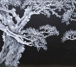 不老長春(불로장춘2)