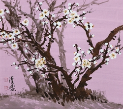 寒不賣香(한불매향3)