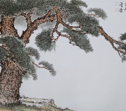 千年樹赤松(천년수적송)