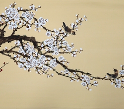 梅雀同樂(매작동락 22)