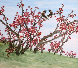 梅雀同樂(매작동락 23)