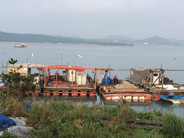 사용자 이미지 image (9).jpg