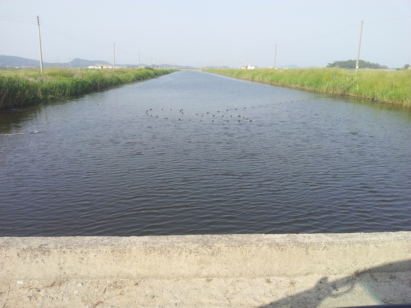 사용자 이미지 20140531_165422.jpg