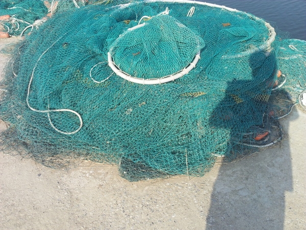 사용자 이미지 20140531_165518.jpg