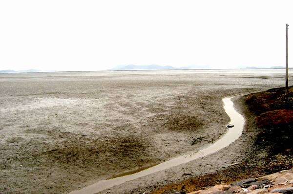 사용자 이미지 SV머드지역2.JPG