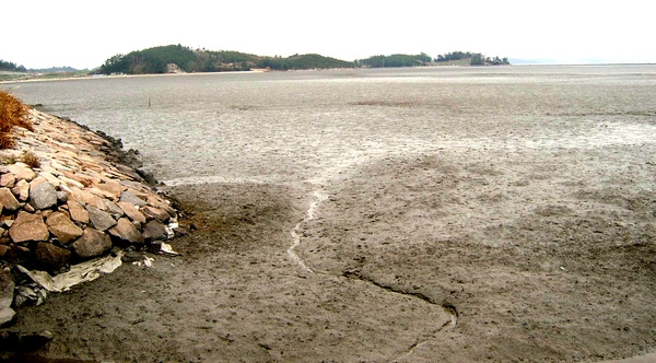 사용자 이미지 SV머드지역1.JPG