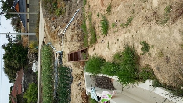 사용자 이미지 20150423_142007.jpg