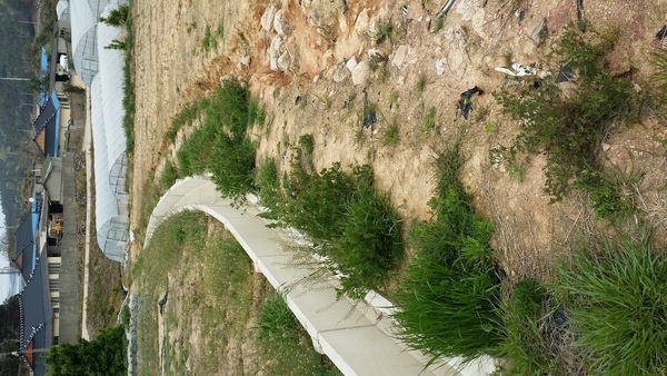 사용자 이미지 20150423_141930.jpg