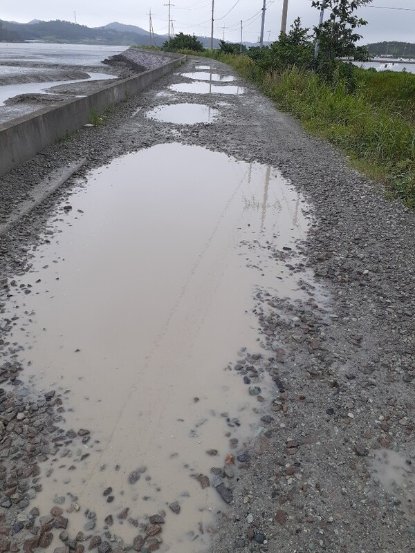 사용자 이미지 1597133104093.jpg