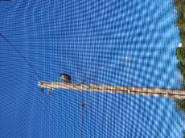 사용자 이미지 15987548230803924495396440897078.jpg