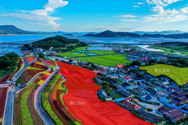 사용자 이미지 DJI_0616_1.jpg