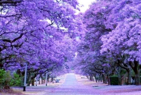 사용자 이미지 Drc7miVVsAEhbGt.jpg