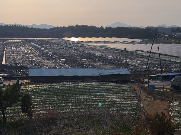 사용자 이미지 KakaoTalk_20210309_175421271.jpg