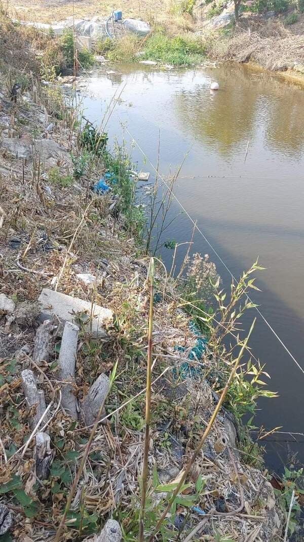 사용자 이미지 q.jpg