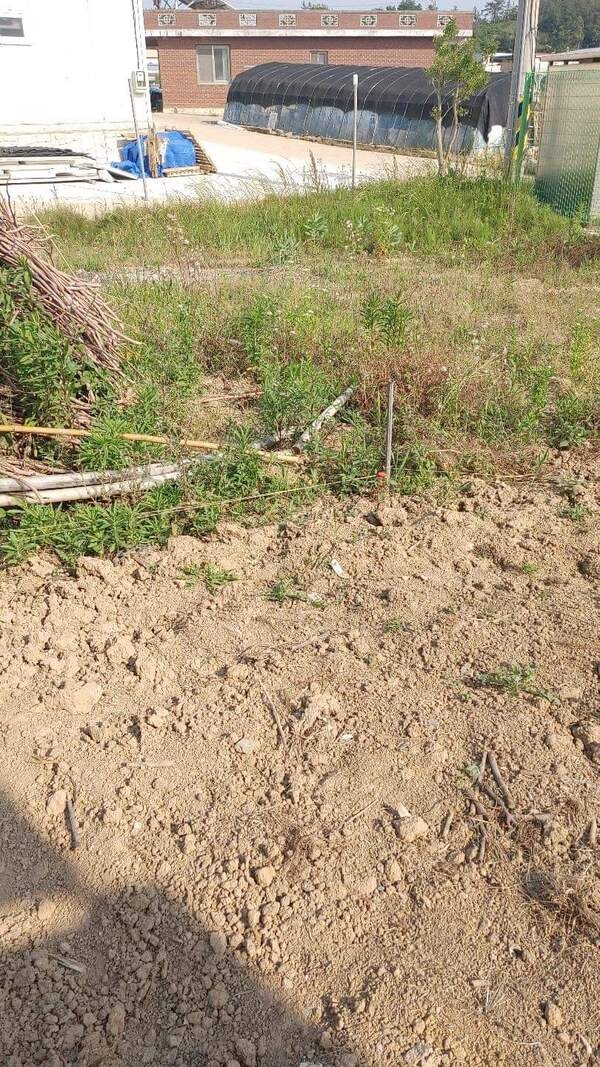 사용자 이미지 d.jpg