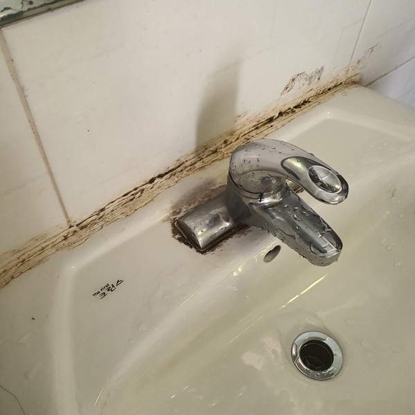 사용자 이미지 1623428601322.jpg