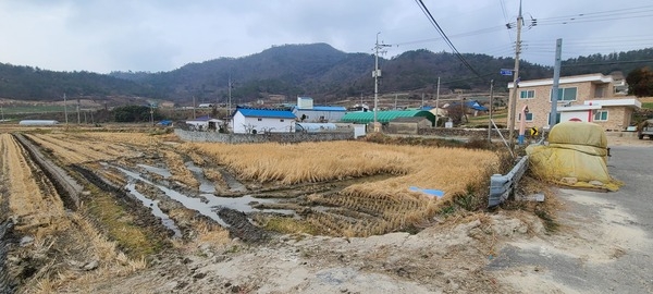 사용자 이미지 20211224_133229.jpg