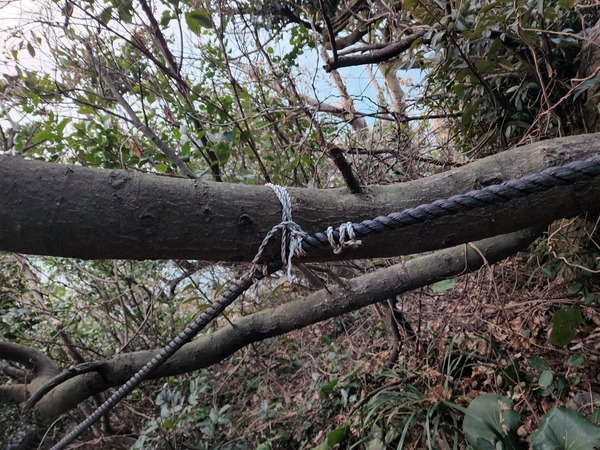 사용자 이미지 20220325_064430.jpg