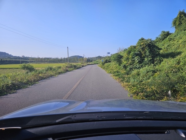 사용자 이미지 도로사진.jpg