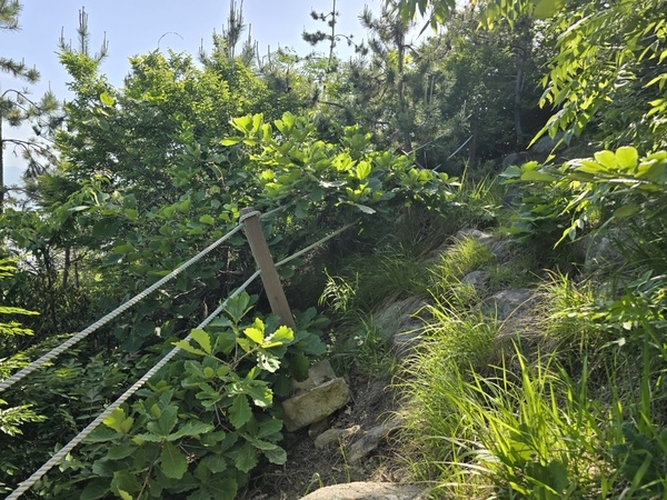 사용자 이미지 KakaoTalk_20240517_082454300_03.jpg