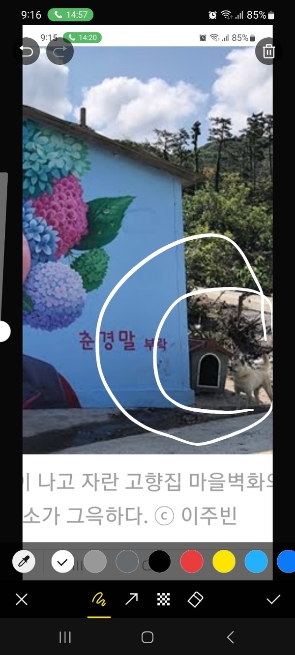 사용자 이미지 KakaoTalk_20250618_091636137.jpg