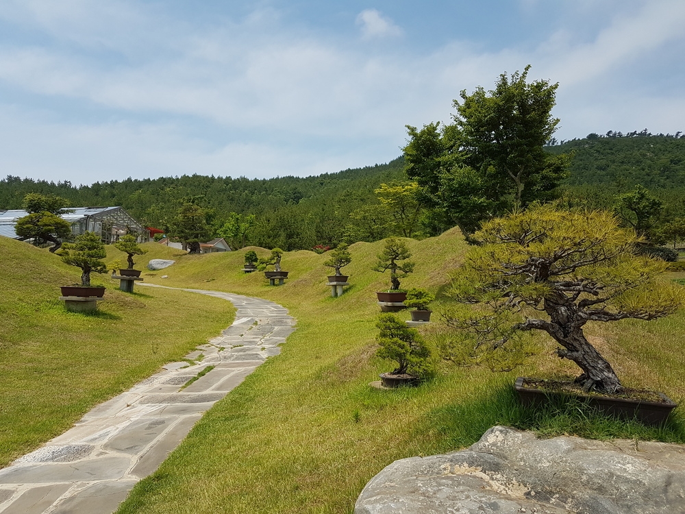 분재정원 야외 전시장 2