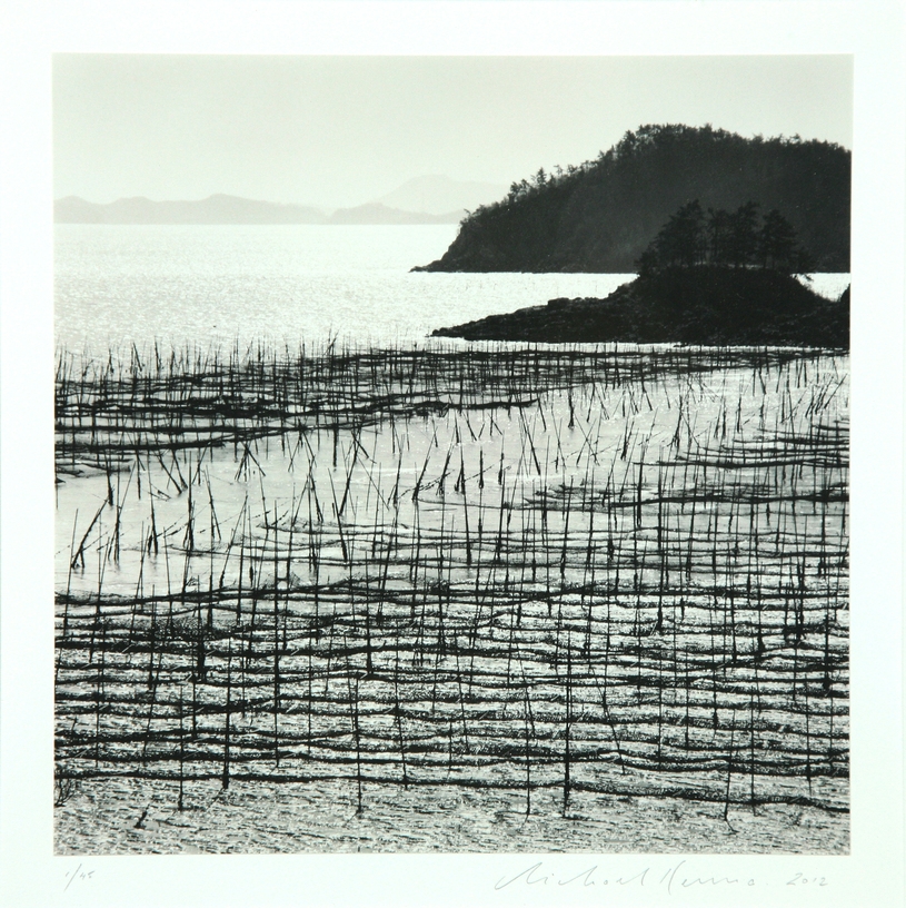 8. Seaweed Field, Jaeun-do, Shinan, South Korea, 2012 1