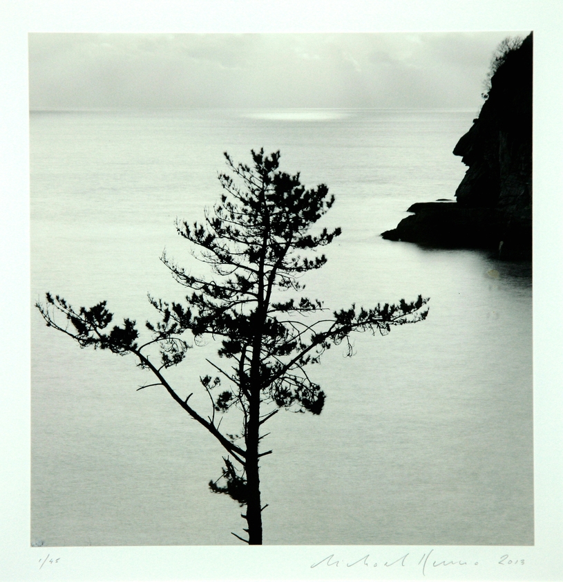 20.  Tree and Rock Face, Haeui-do, Shinan, South Korea, 2013 1