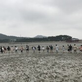 갯벌체험 