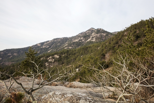 암태 승봉산 기암기석 001 2