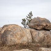 암태 승봉산 기암기석 006
