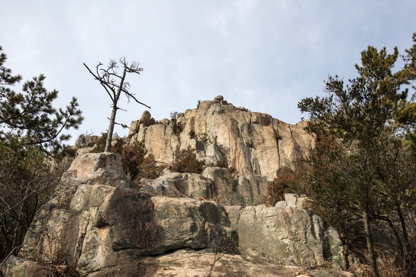 암태 오도선착장 등산로 3