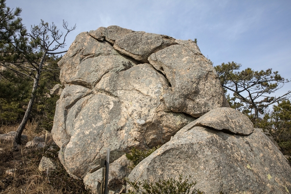 암태 오도선착장 등산로 4