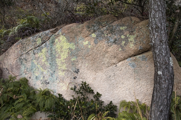 암태 오도선착장 등산로 6