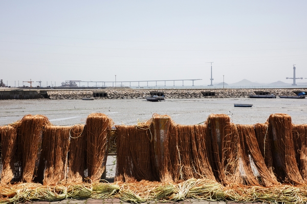 암태 당사도 김양식 1