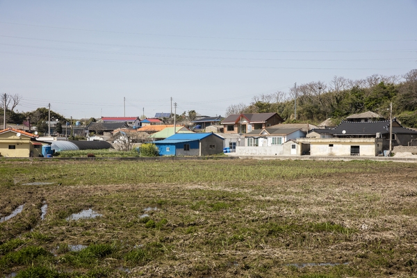 암태 당사도 마을전경 4