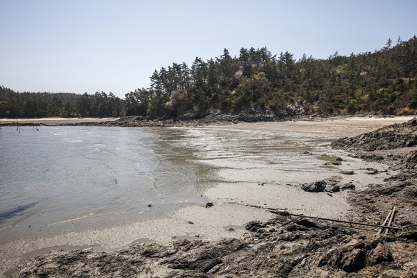 암태 당사도 이순신장군 숙영지 4