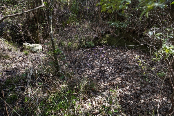 암태 당사도 이순신장군 숙영지 5