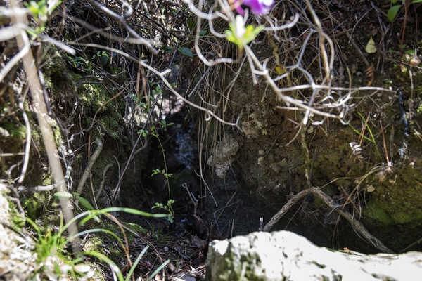 암태 당사도 이순신장군 숙영지 6