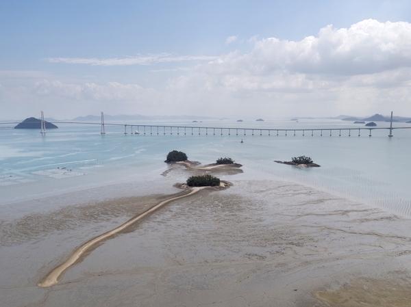 암태면 당사도 2