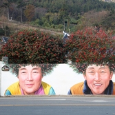 암태면 기동삼거리 동백할머니할아버지벽화